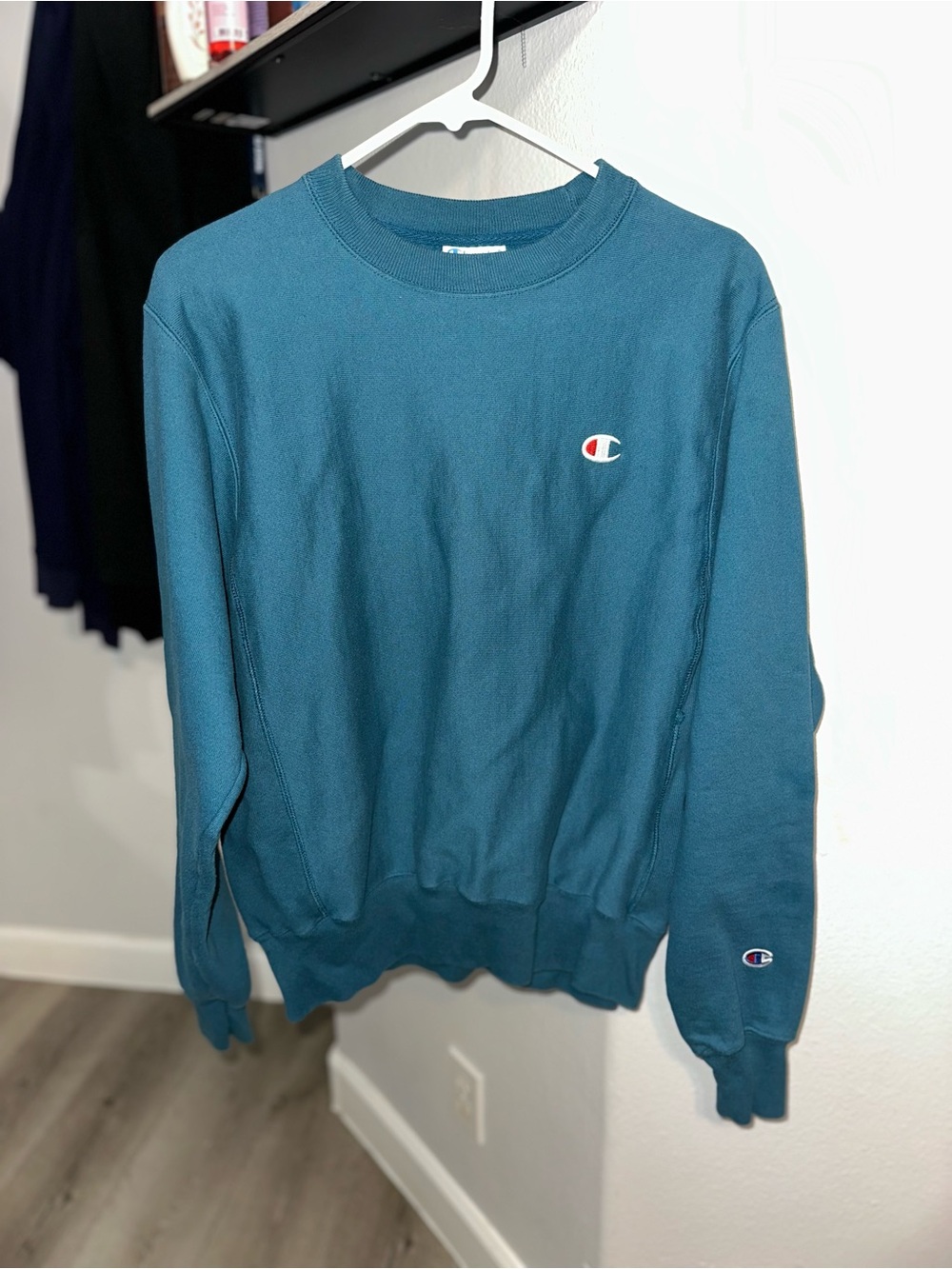 Champion Reverse Weave Men's Teal Crewneck Sweatshirt